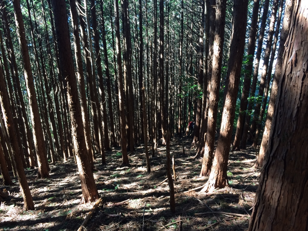 f:id:masahito0989:20160221135224j:plain