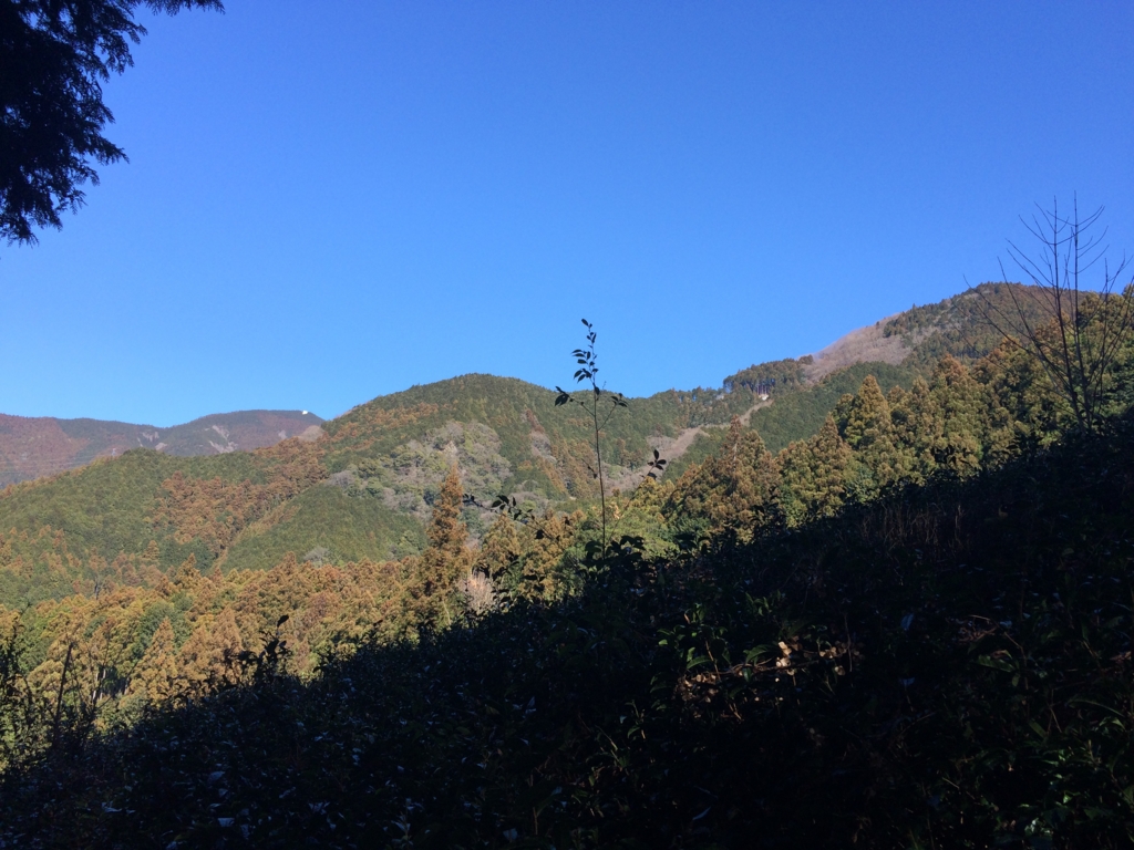 f:id:masahito0989:20160221135754j:plain