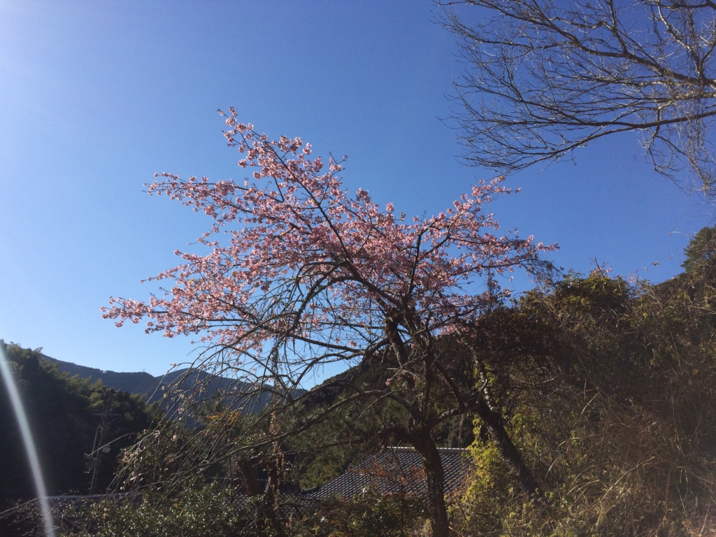 f:id:masahito0989:20160221144419j:plain