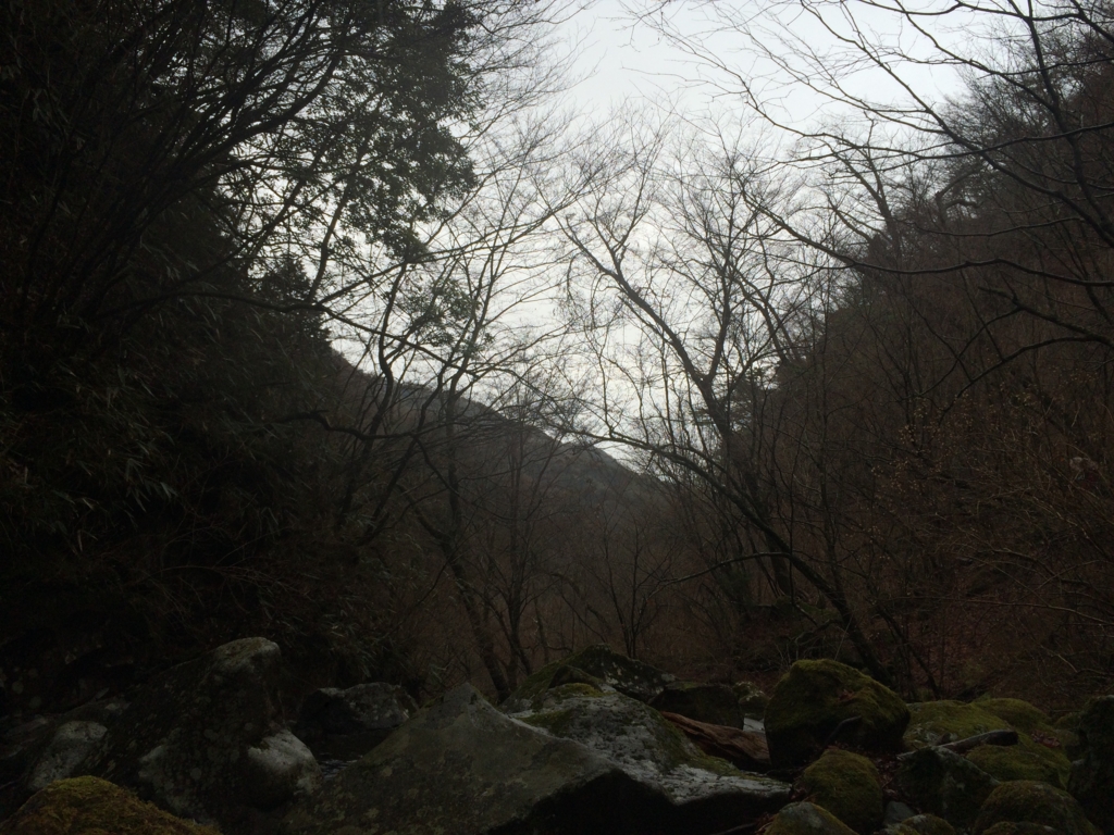 f:id:masahito0989:20160321093203j:plain