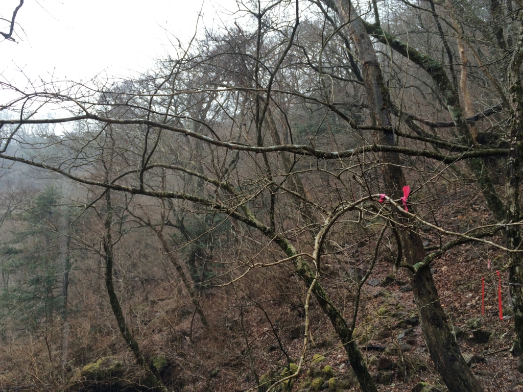 f:id:masahito0989:20160321104904j:plain