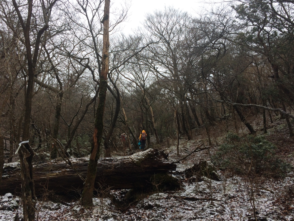 f:id:masahito0989:20160321111001j:plain