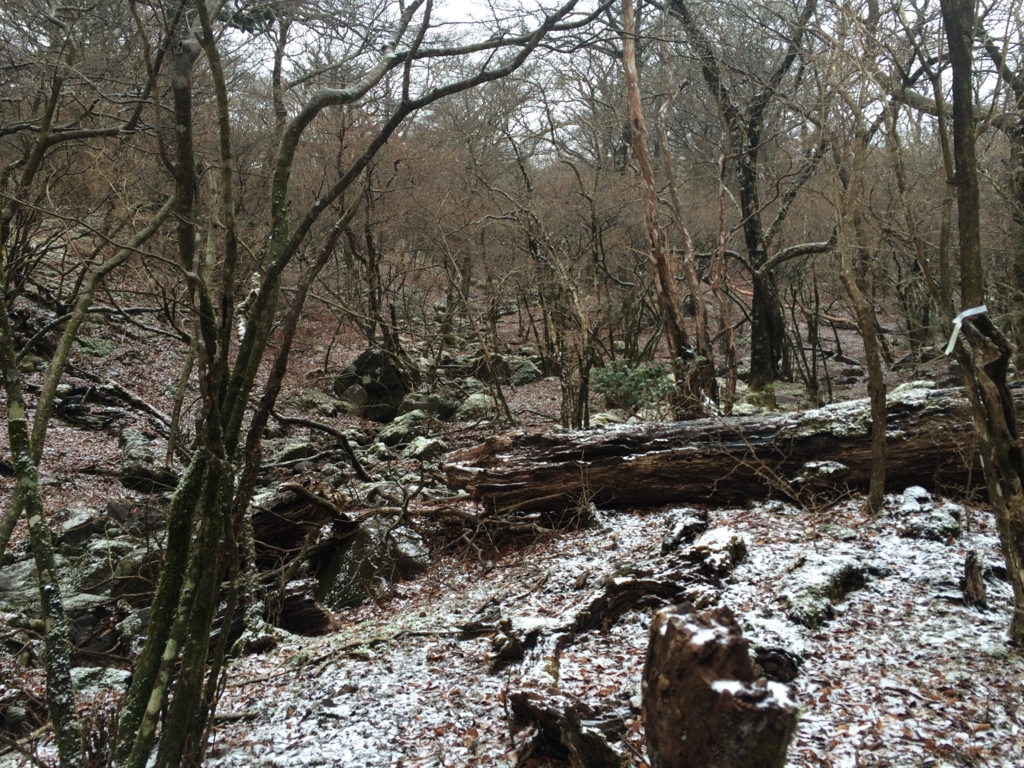 f:id:masahito0989:20160321111004j:plain