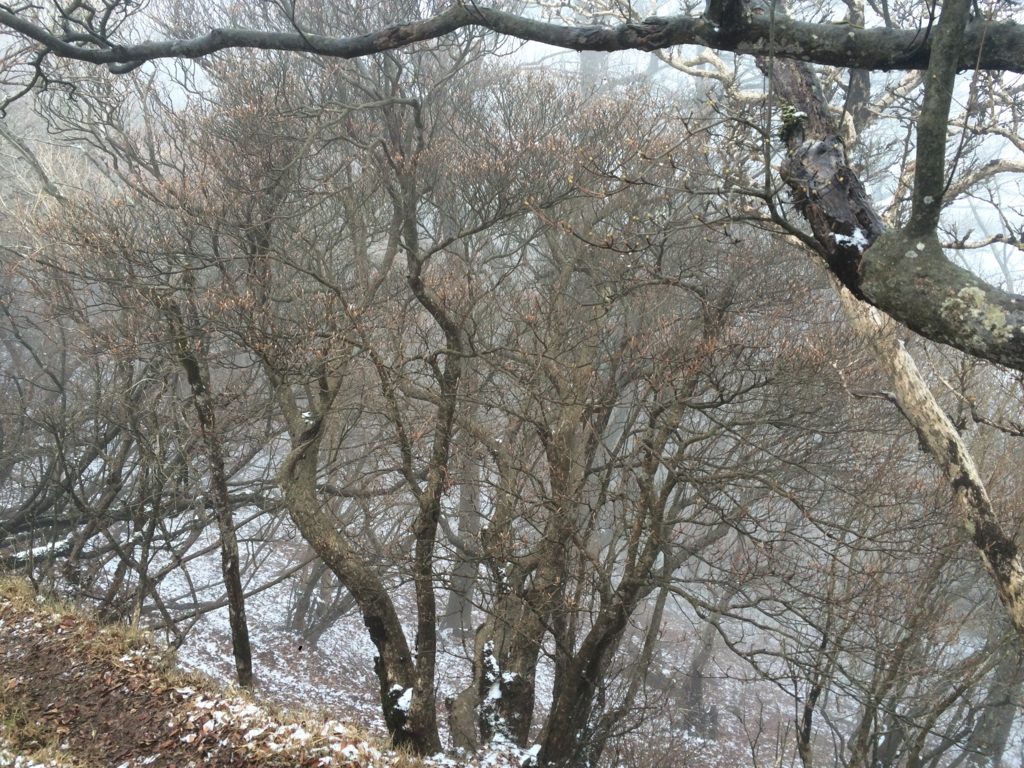 f:id:masahito0989:20160321114525j:plain