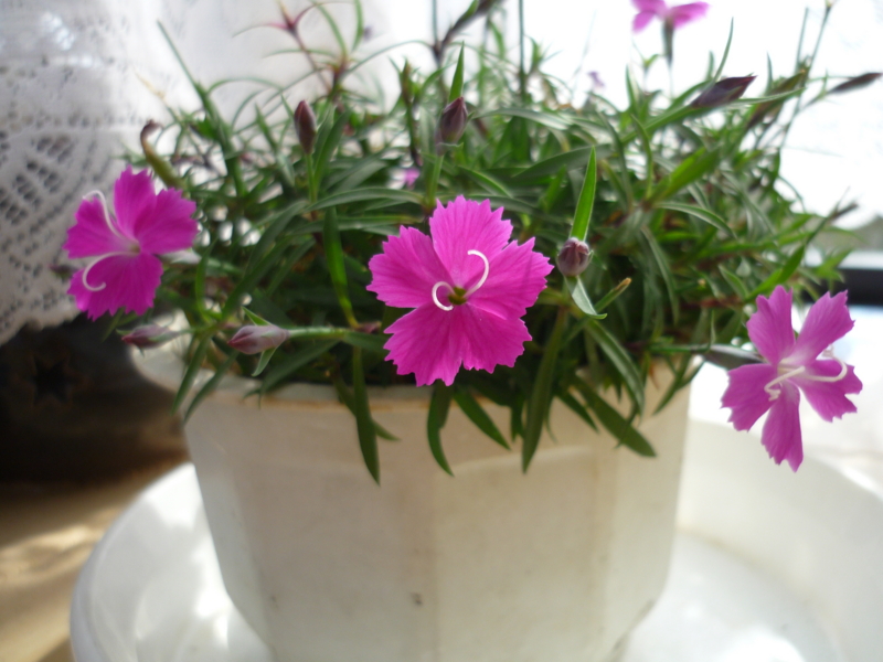 f:id:masakatu19219:20120215114613j:plain f:id:masakatu19219:20120215114613j:plain