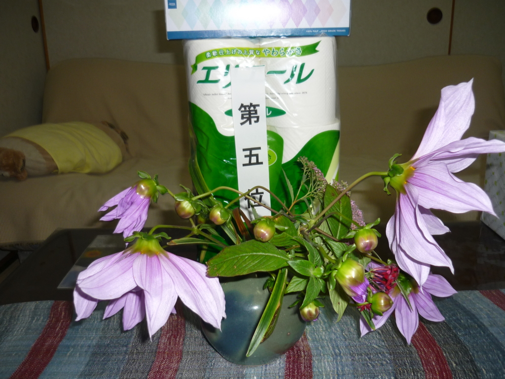 f:id:masakatu19219:20151119161549j:plain f:id:masakatu19219:20151119161549j:plain