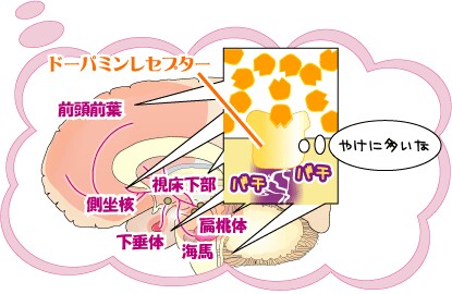f:id:masakihotel:20150809144407j:image f:id:masakihotel:20150809144407j:image