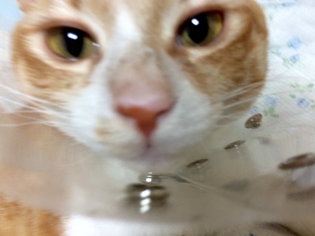 f:id:masalib:20150916092908j:image f:id:masalib:20150916092908j:image