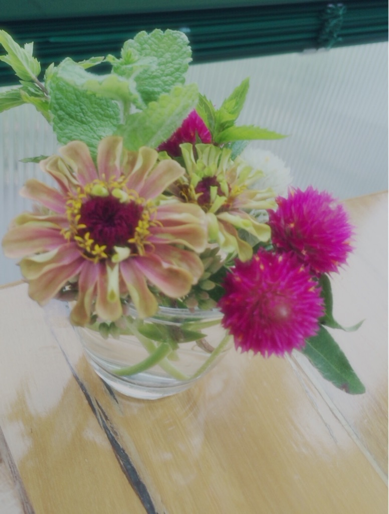 f:id:masamin0104:20150908024456j:image f:id:masamin0104:20150908024456j:image