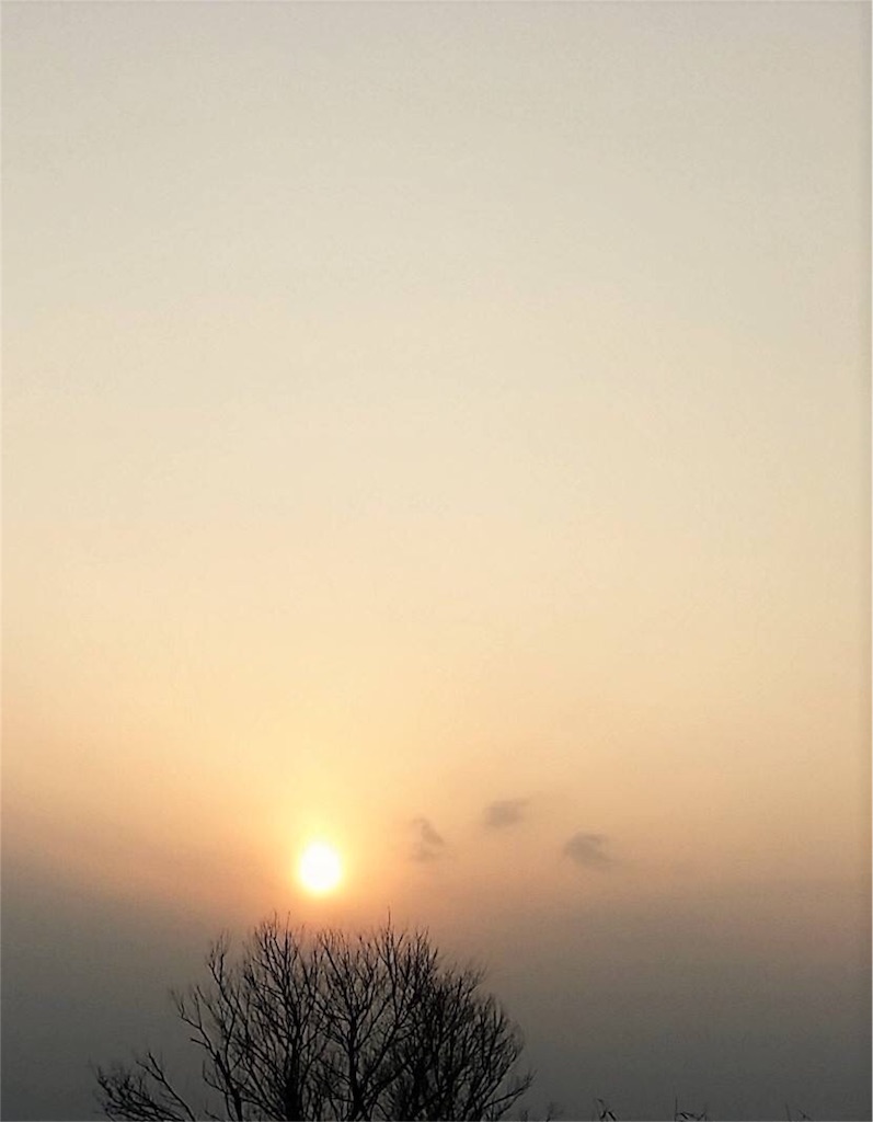 f:id:masamin0104:20160301180938j:image f:id:masamin0104:20160301180938j:image