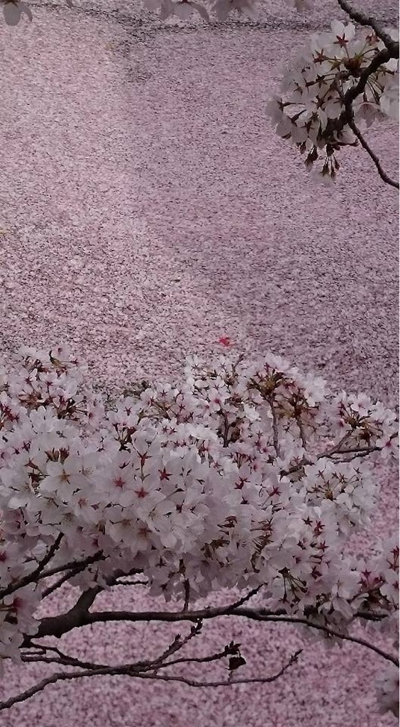 f:id:masamin0104:20160407201829j:image f:id:masamin0104:20160407201829j:image