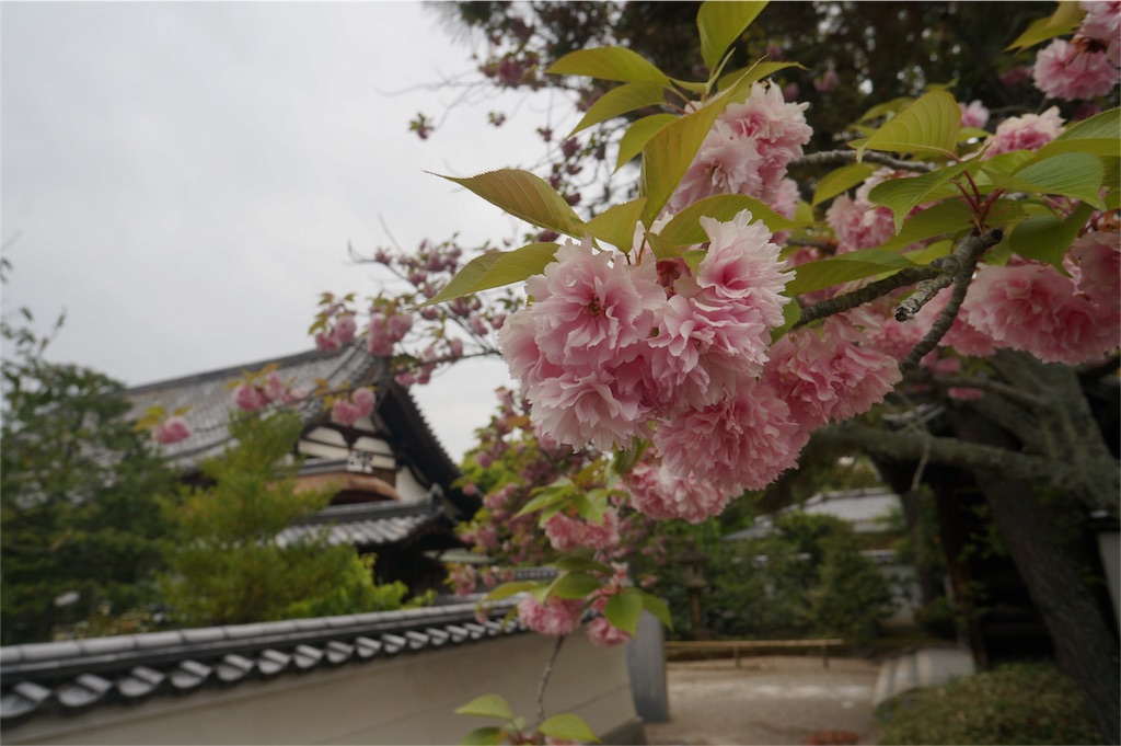 f:id:masamin0104:20160421162447j:image f:id:masamin0104:20160421162447j:image