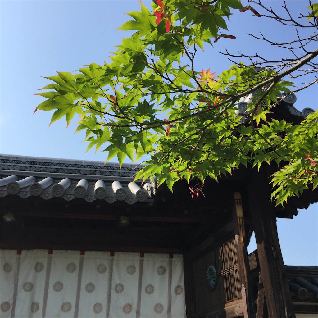 f:id:masamin0104:20160523010904j:image f:id:masamin0104:20160523010904j:image