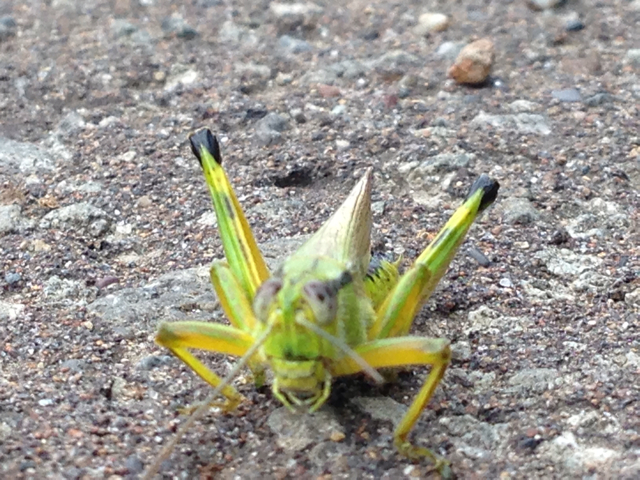 f:id:masamon27:20130829195903j:plain f:id:masamon27:20130829195903j:plain