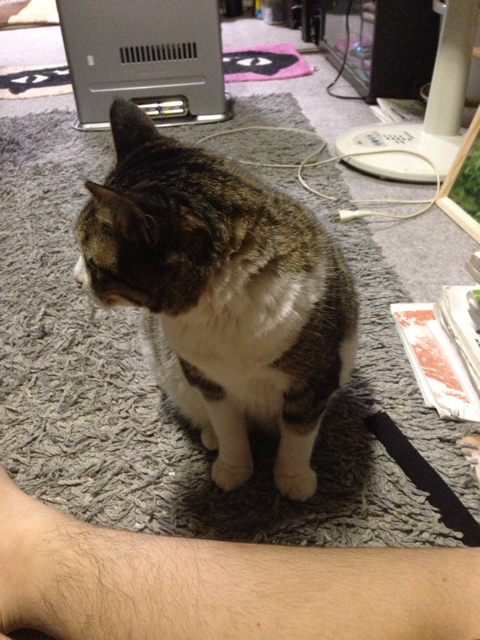 f:id:masamon27:20130831205318j:plain f:id:masamon27:20130831205318j:plain