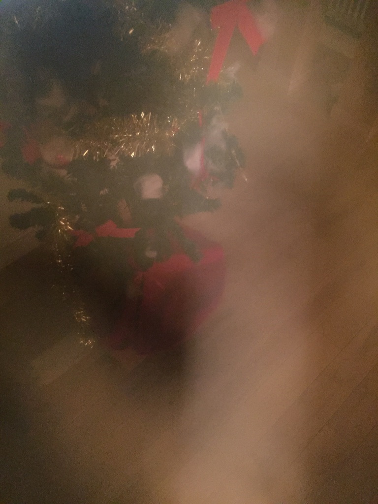 f:id:masaniisan:20160101084939j:image f:id:masaniisan:20160101084939j:image