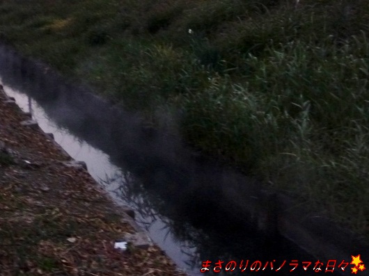 f:id:masanori2000GT:20101219170448j:image