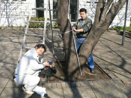 f:id:masataka-no7:20091121100543j:image f:id:masataka-no7:20091121100543j:image