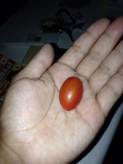 f:id:masaya-MK:20140828204826j:plain f:id:masaya-MK:20140828204826j:plain