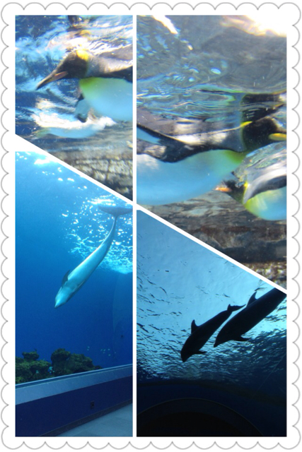 f:id:mashumaron:20130414161751j:plain f:id:mashumaron:20130414161751j:plain