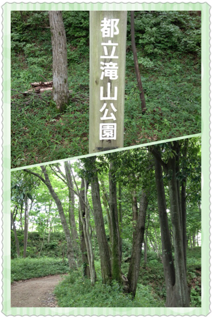 f:id:mashumaron:20130618164230j:plain f:id:mashumaron:20130618164230j:plain