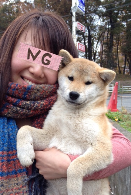 f:id:mashumaron:20131219183546j:plain f:id:mashumaron:20131219183546j:plain