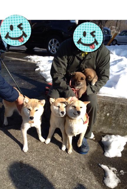 f:id:mashumaron:20140227214543j:plain f:id:mashumaron:20140227214543j:plain