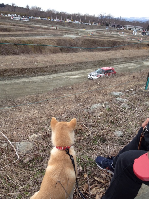 f:id:mashumaron:20140324150136j:plain f:id:mashumaron:20140324150136j:plain