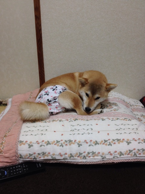 f:id:mashumaron:20140414130818j:plain f:id:mashumaron:20140414130818j:plain