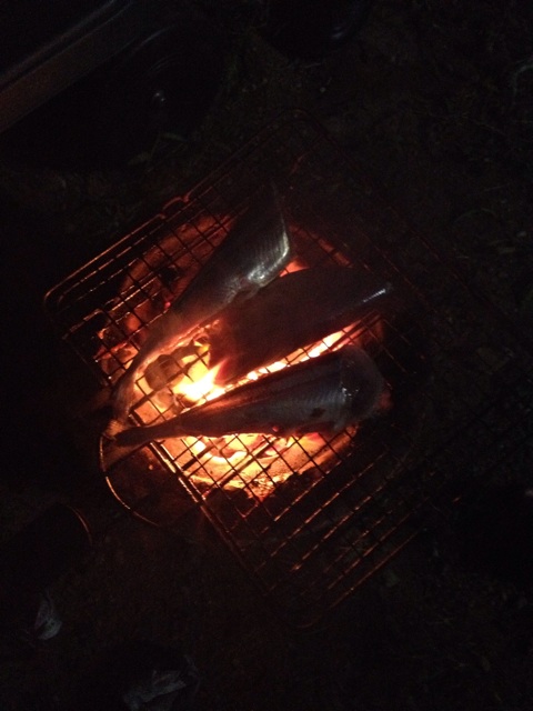 f:id:mashumaron:20140918152035j:plain f:id:mashumaron:20140918152035j:plain