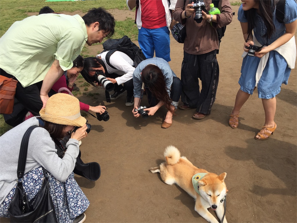 f:id:mashumaron:20160516134547j:image f:id:mashumaron:20160516134547j:image