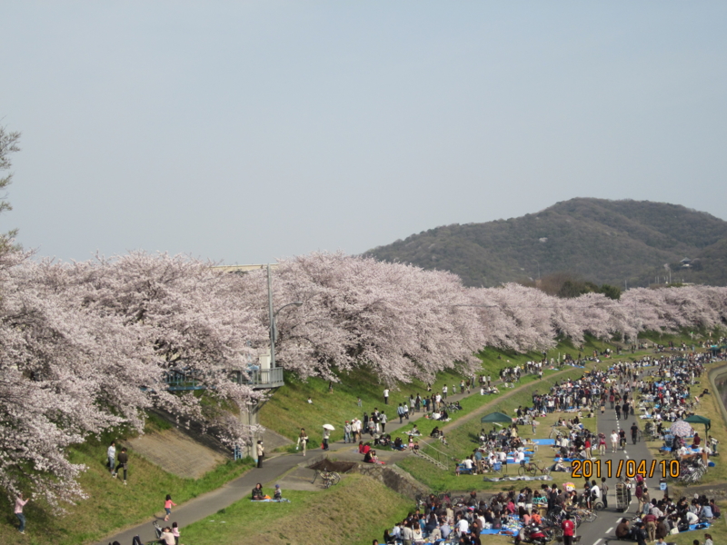 f:id:masigoka55:20110410153530j:image f:id:masigoka55:20110410153530j:image