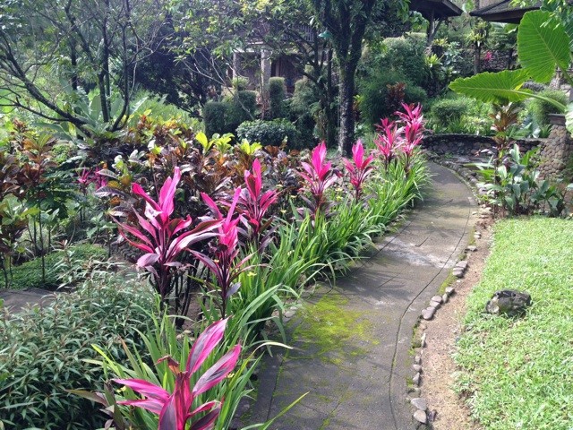 f:id:masimo:20140330231741j:plain f:id:masimo:20140330231741j:plain