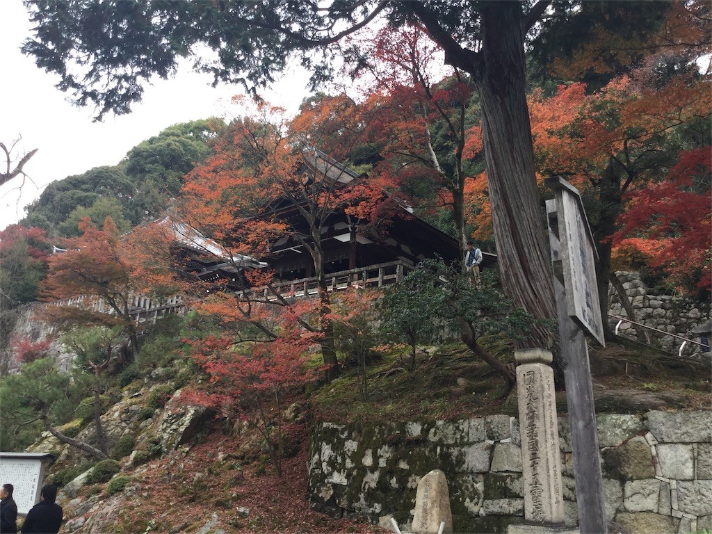 f:id:masimo:20151129225559j:image f:id:masimo:20151129225559j:image