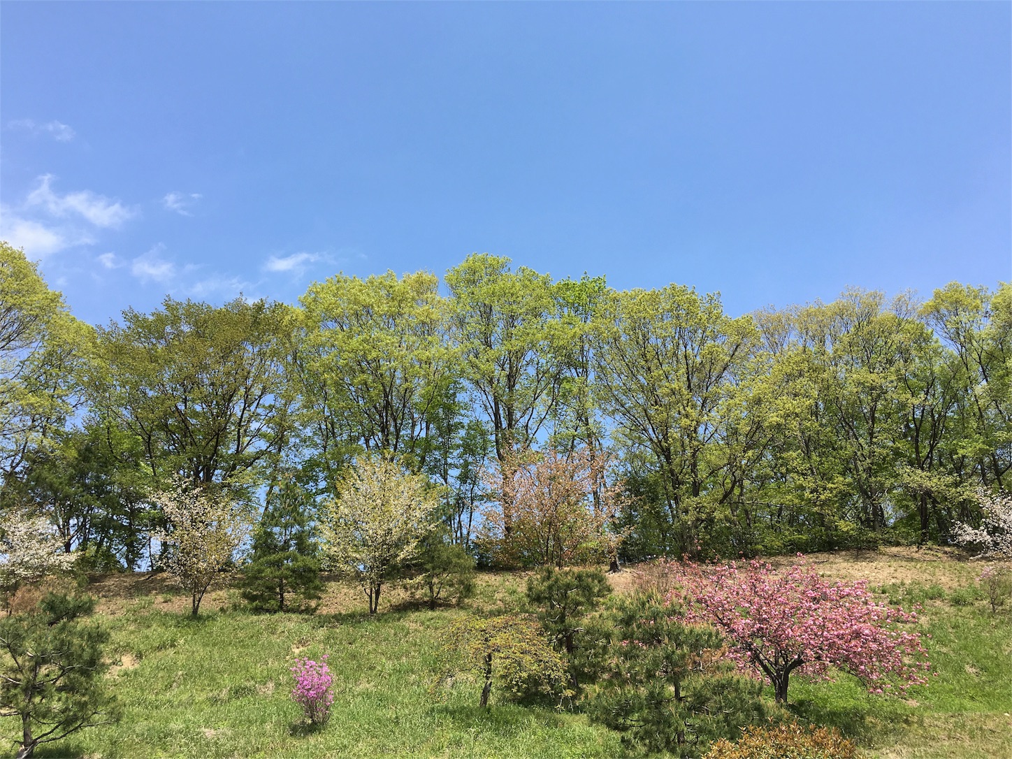 上川霊園 東京都八王子市上川町 墳丘からの眺め 上川霊園 東京都八王子市上川町 墳丘からの眺め