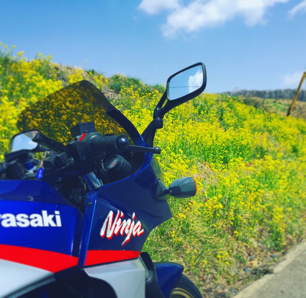 f:id:masunosuke-gpz900r:20160410091507j:plain f:id:masunosuke-gpz900r:20160410091507j:plain