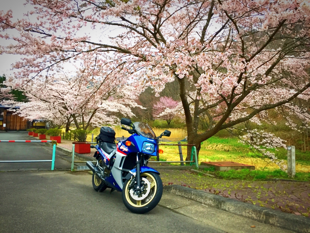 f:id:masunosuke-gpz900r:20160422072541j:plain f:id:masunosuke-gpz900r:20160422072541j:plain