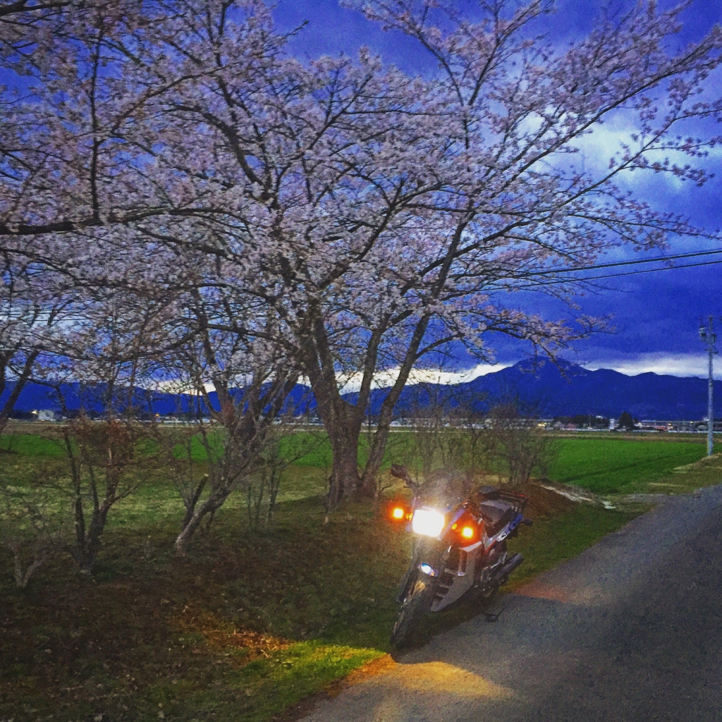 f:id:masunosuke-gpz900r:20160422073848j:plain f:id:masunosuke-gpz900r:20160422073848j:plain