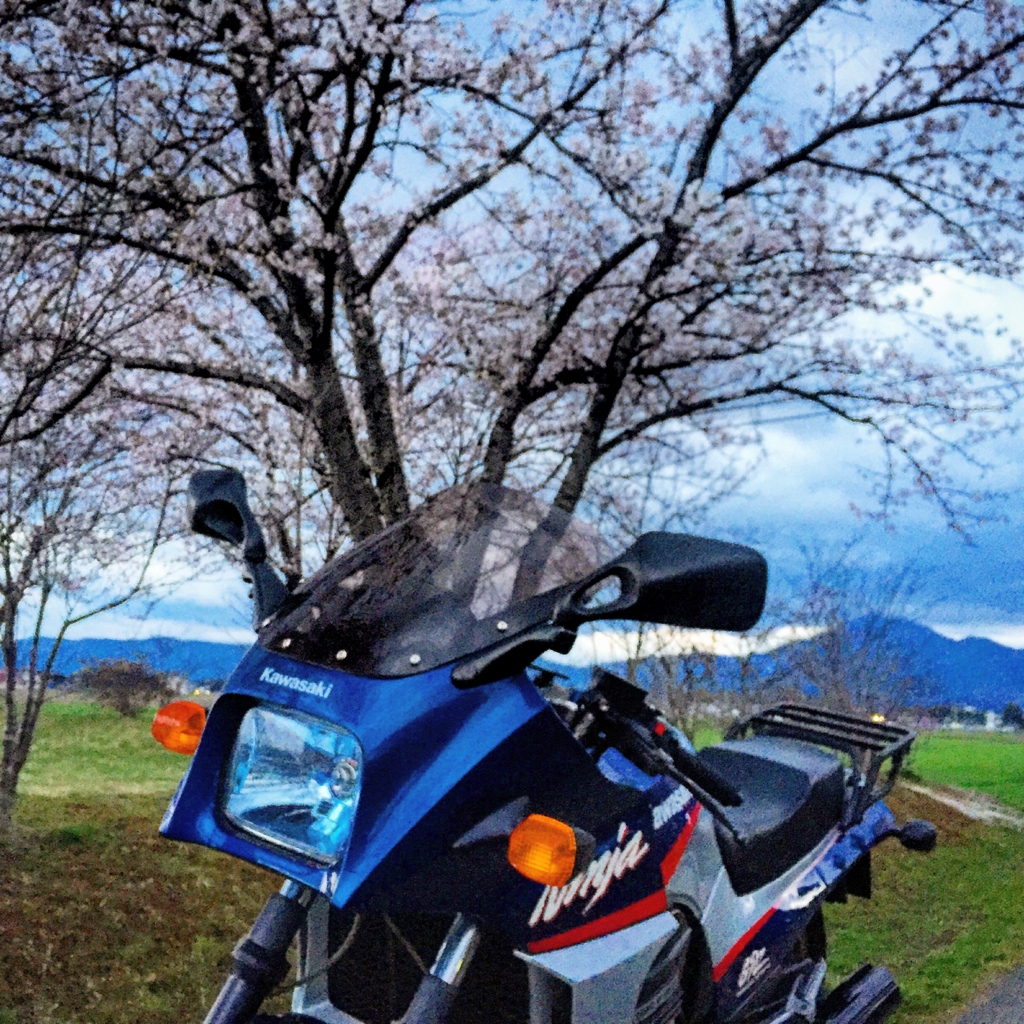 f:id:masunosuke-gpz900r:20160422073907j:plain f:id:masunosuke-gpz900r:20160422073907j:plain
