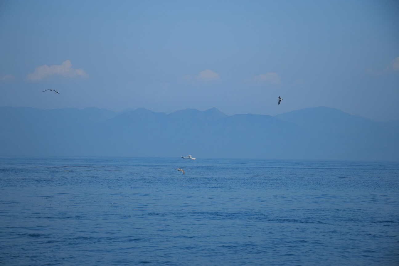 青島へ向かう漁船