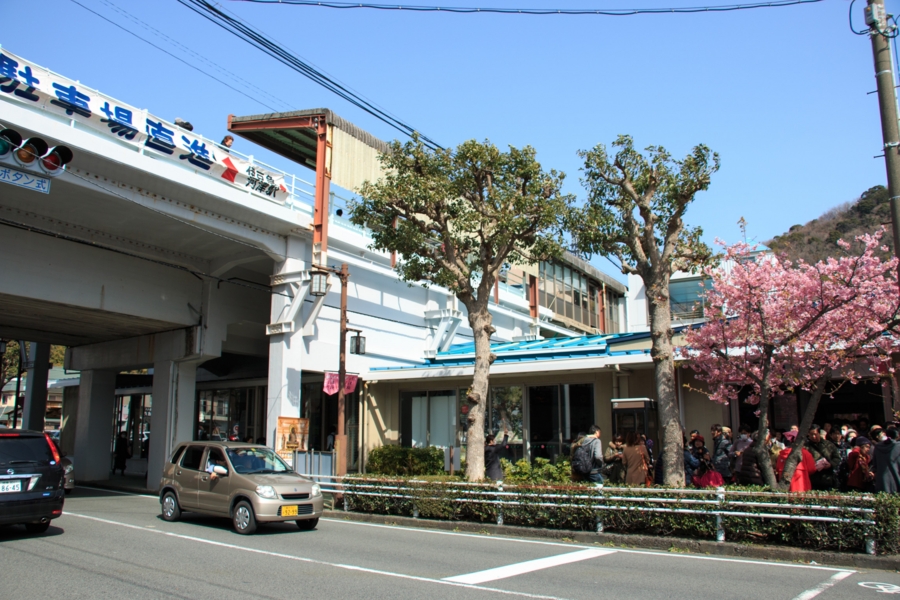 河津桜まつりの度は河津駅前からスタート