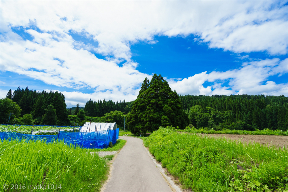 f:id:matka1014:20160421224745j:plain