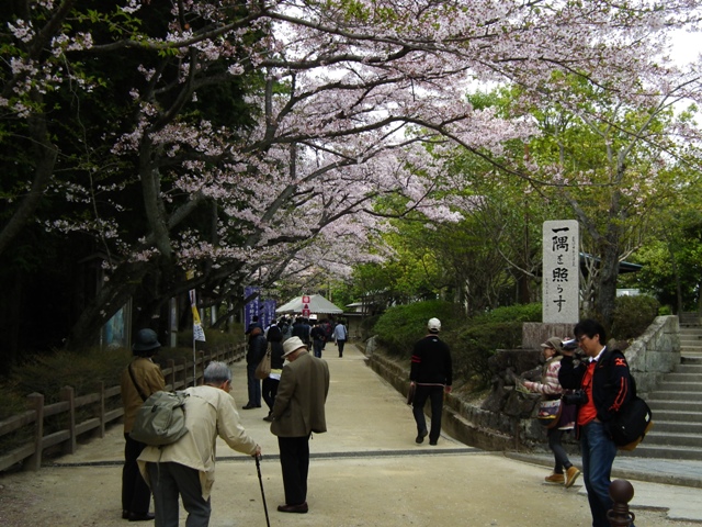 f:id:matrixakio:20140430215738j:plain f:id:matrixakio:20140430215738j:plain