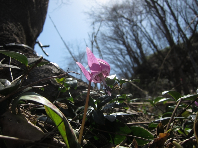 f:id:matryosika:20120430120245j:image:w640 f:id:matryosika:20120430120245j:image:w640