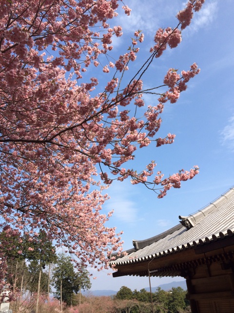 f:id:mattilda:20140410135204j:plain f:id:mattilda:20140410135204j:plain