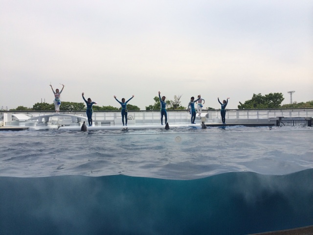 f:id:mattilda:20140423234123j:plain f:id:mattilda:20140423234123j:plain