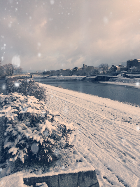 f:id:mattilda:20150105223631j:plain f:id:mattilda:20150105223631j:plain