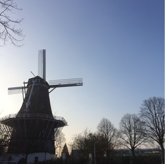f:id:mattilda:20150314150559j:plain f:id:mattilda:20150314150559j:plain