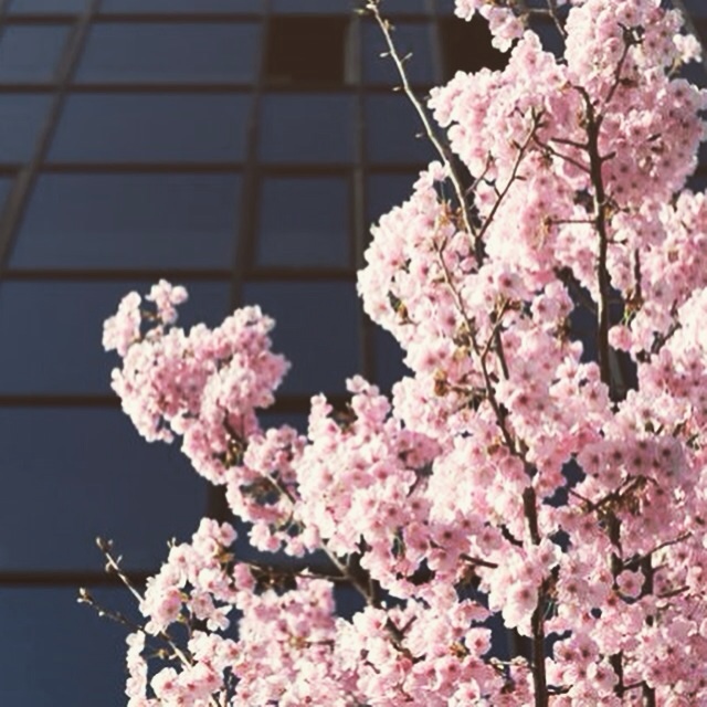 f:id:mattilda:20150328142010j:plain f:id:mattilda:20150328142010j:plain