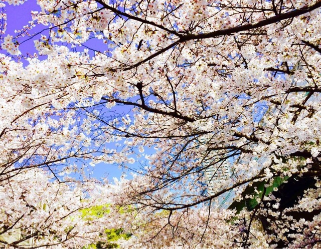 f:id:mattilda:20150404212341j:plain f:id:mattilda:20150404212341j:plain